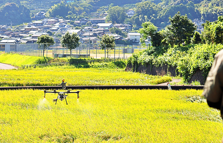 どんな地形でも安全に農薬散布を実施します